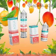 Load image into Gallery viewer, AQUA Fresh Salts MOMENTUM eLiquid 30ml